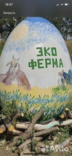 Требуется разнорабочий и работница на ферму