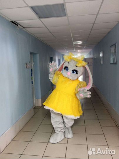 Экспресс Поздроаения