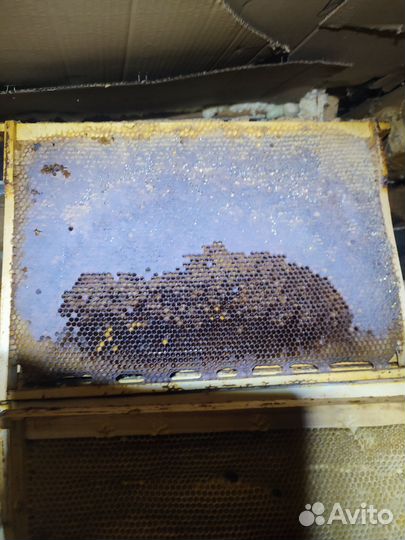 Медовые рамки,сушь