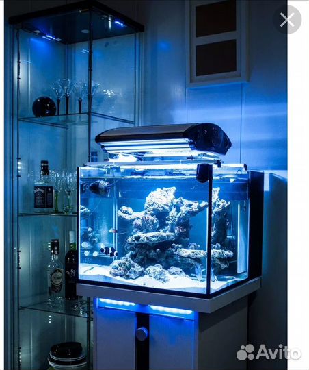 Эко аквариум