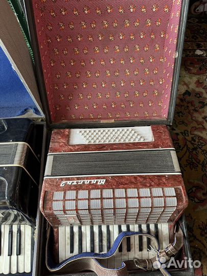 Аккардеоны