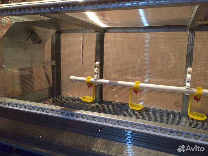 Брудер для циплят