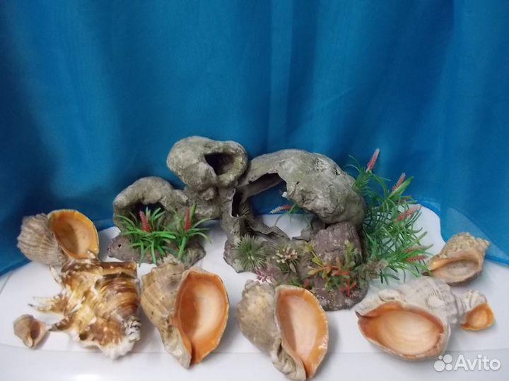 Грот для аквариума, ракушки