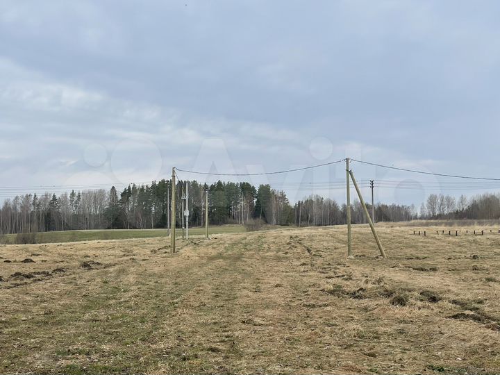 Участок 11,9 сот. (СНТ, ДНП)