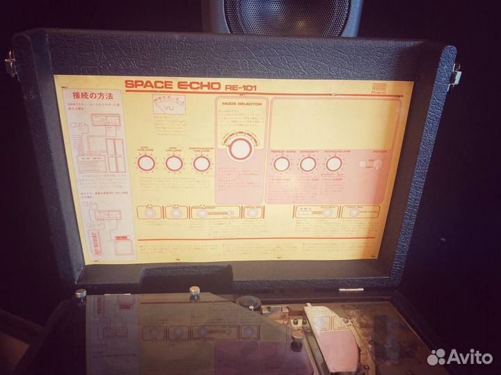 Roland space echo RE 101