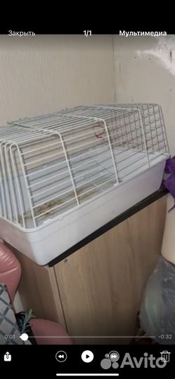 Клетка для кролика,морских свиноу и шиншил