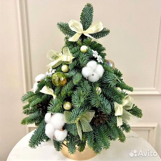 Композиции с Нобилисом