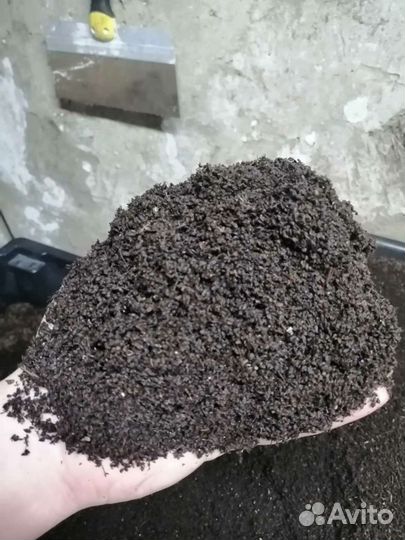 Биогумус (вермикомпост)