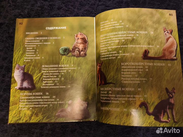 Книги Энциклопедия кошки, Справочник кошек, Коты
