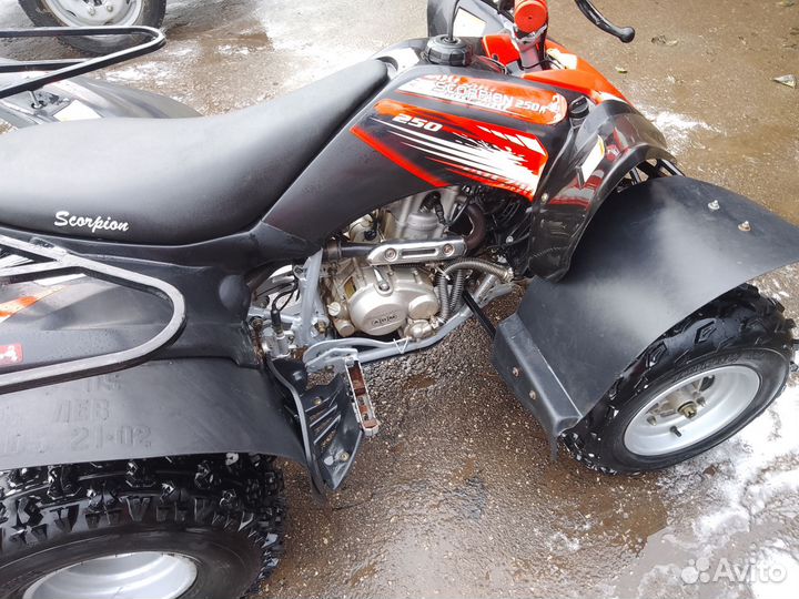 Квадроцикл 250