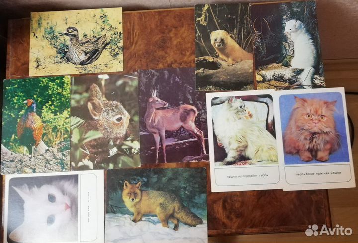 Открытки времен СССР (чистые)