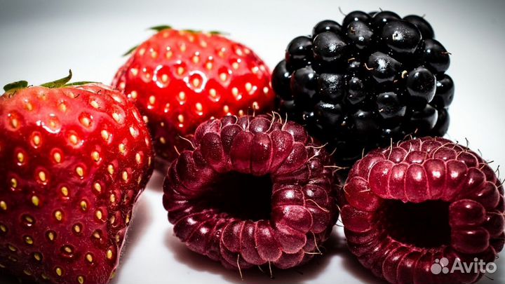 Рабочий Интернет-Бизнес на Похудении