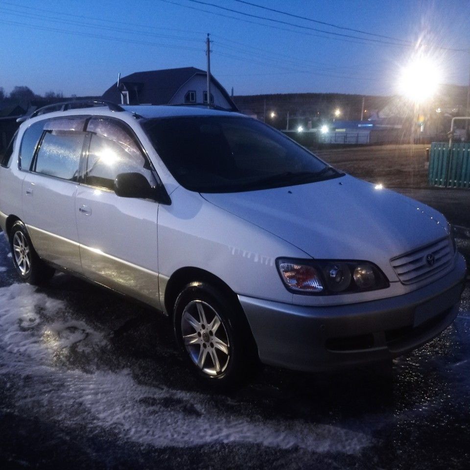 Toyota Ipsum: фото из отзыва
