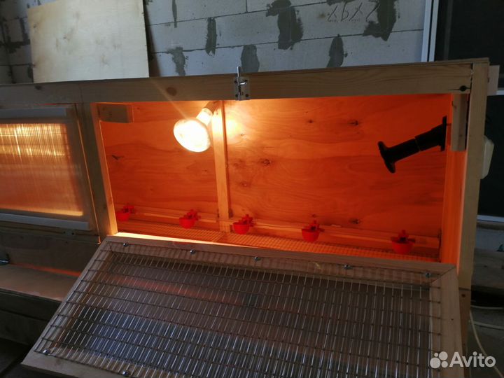 Брудер для цыплят