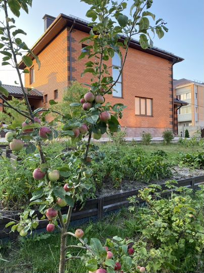 Дом 182 м² на участке 9,5 сот.