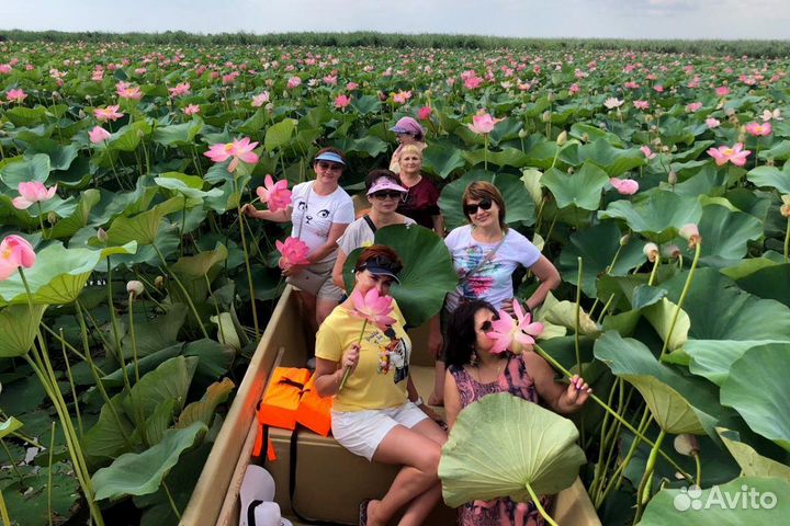 Рыбалка с егерем,Аренда лодок