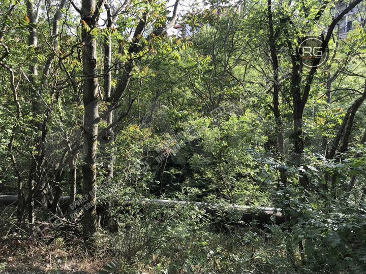 Участок 32 сот. (ИЖС)