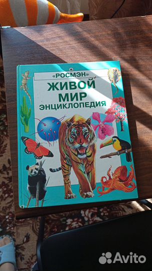 Экзотические рыбы и Живой мир