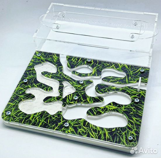 Муравьиная ферма