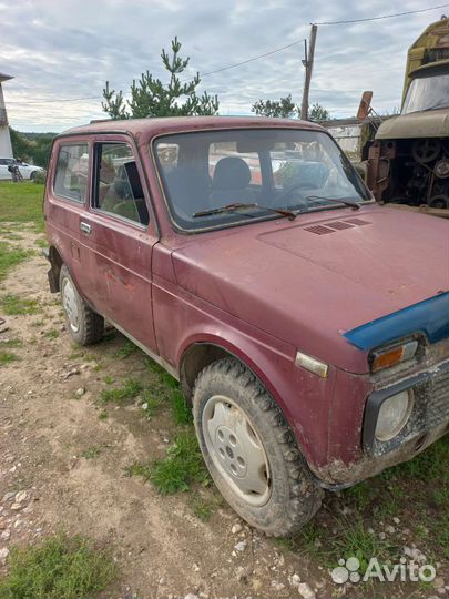 Разбор нива