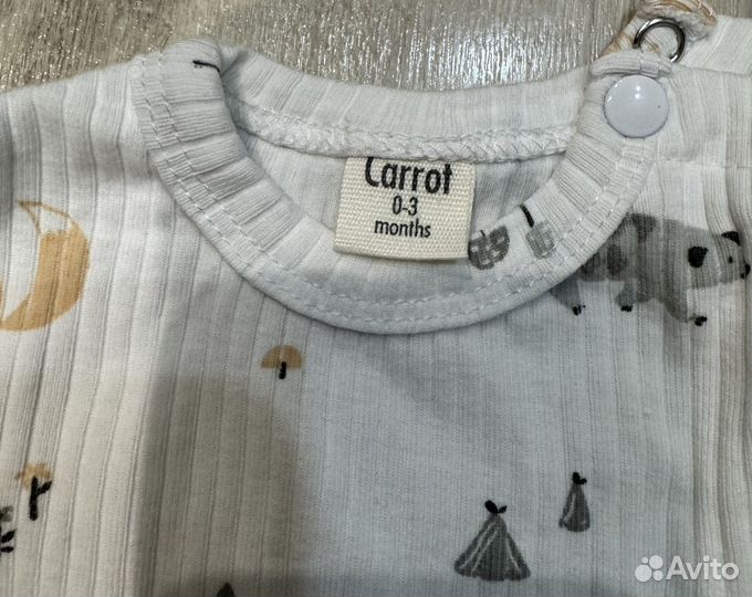 Боди и штанишки carrot