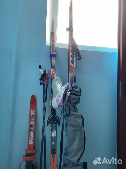 Беговые лыжи