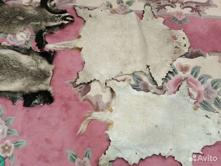 Шкурка животного