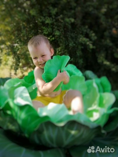 Фотосессия малышей от 0 до 3 лет