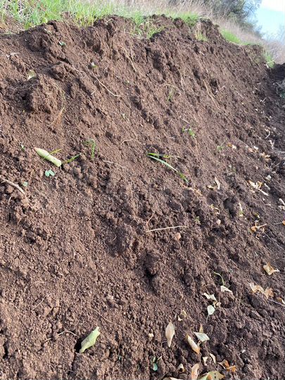 Участок 5,4 га (СНТ, ДНП)