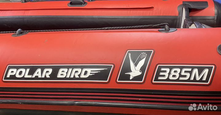 Лодка Polar bird 385м