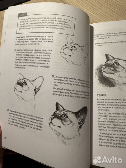 Рисуем кошек и собак