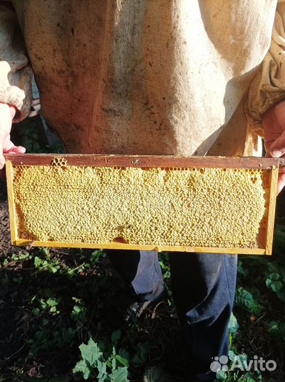 Продажа мёда