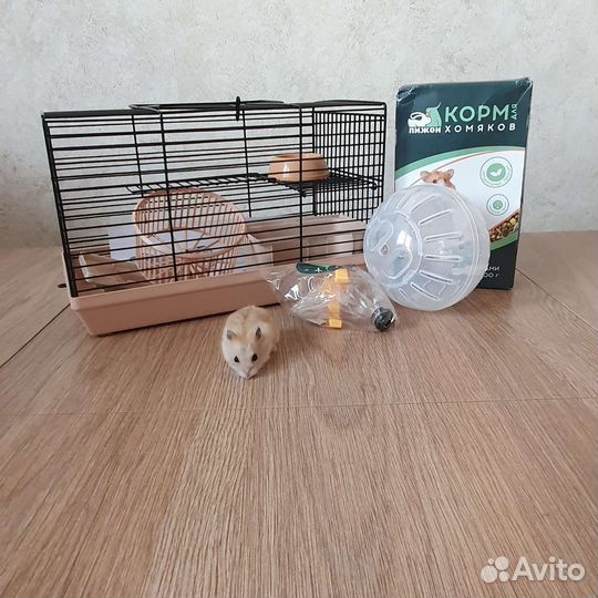 Джунгарский хомяк с клеткой