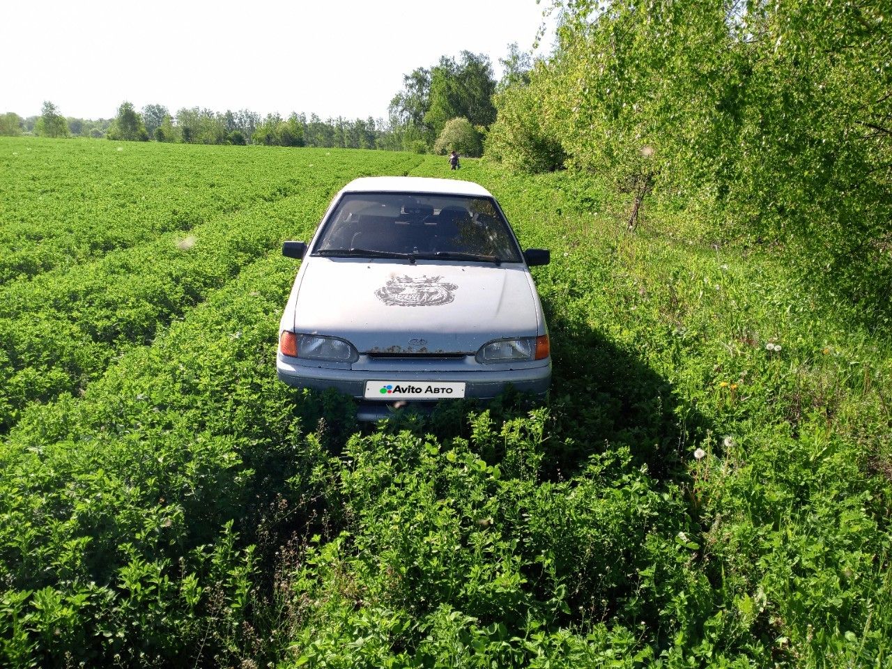 ВАЗ (LADA) 2114 Samara: фото владельца