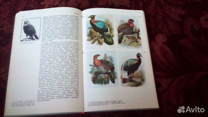 Красная книга