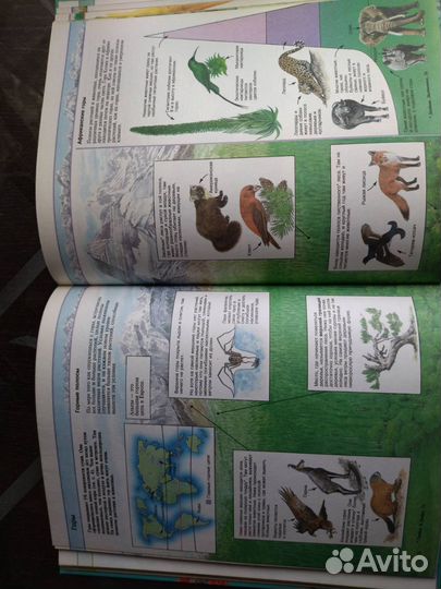 Детская энциклопедия