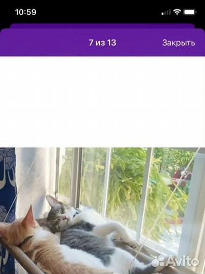 Гамак для кошек на окно