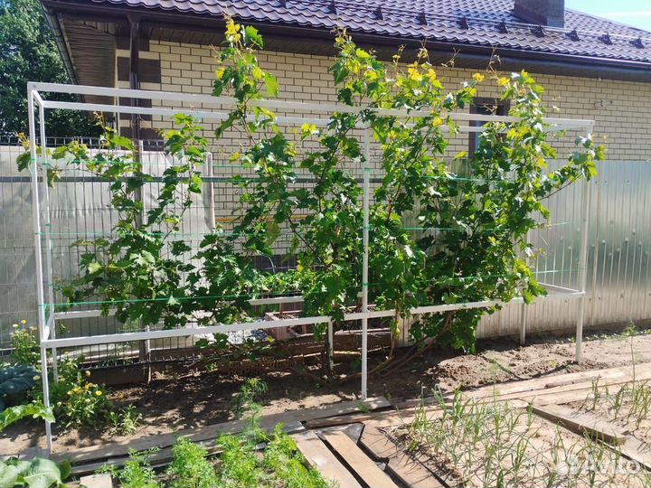 Опоры, шпалеры, кустодержатели