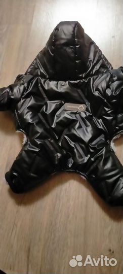 Одежда для маленьких собак