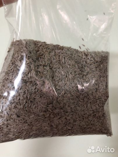 Семена салат левистро