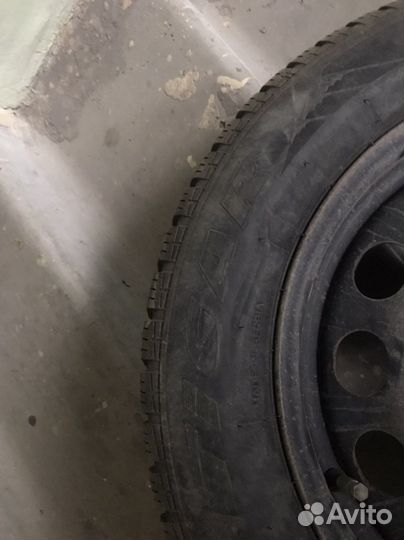 Tigar Sigura Stud 205/60 R16