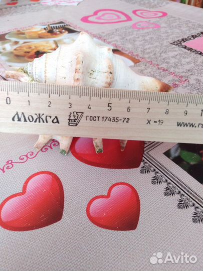 Принадлежности для аквариума