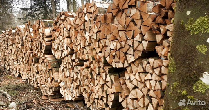 Дрова береза осина ольха