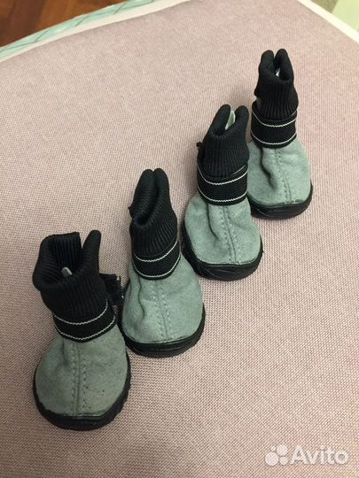 Сапожки для собак