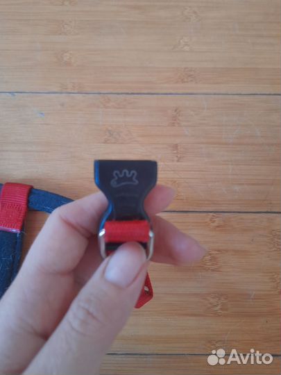 Костюмы и шлейка для собаки