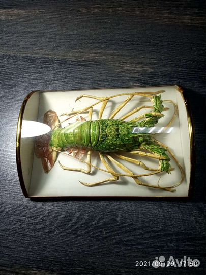 Ракообразный чучело