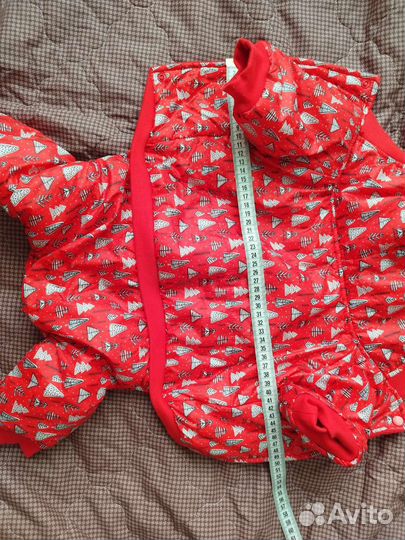 Одежда для собак