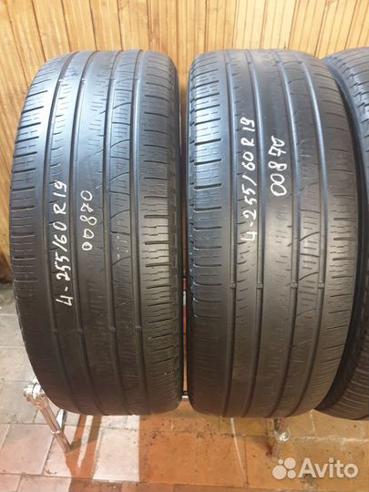 Pirelli Scorpion Verde All Season 255/60 R19 113V