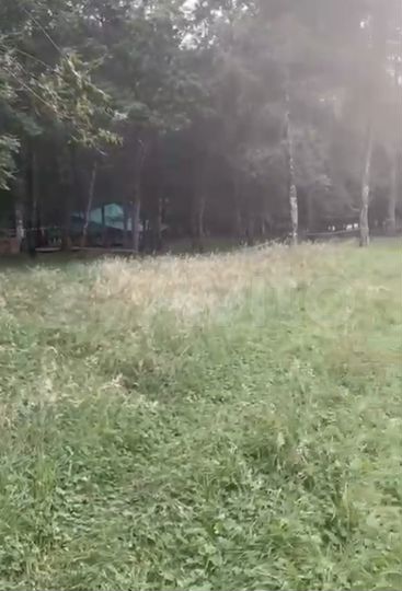Участок 100 сот. (СНТ, ДНП)