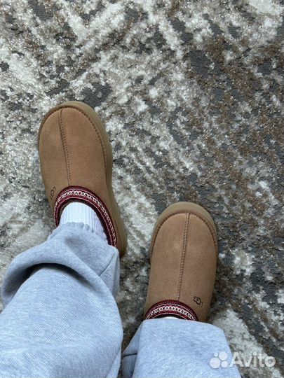 Ugg tazz tasman chestnut